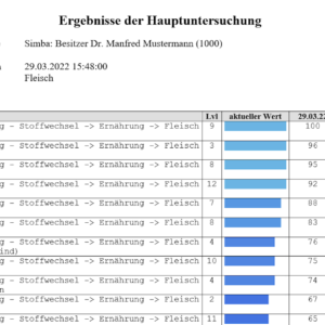 Bioresonanz Allergietest