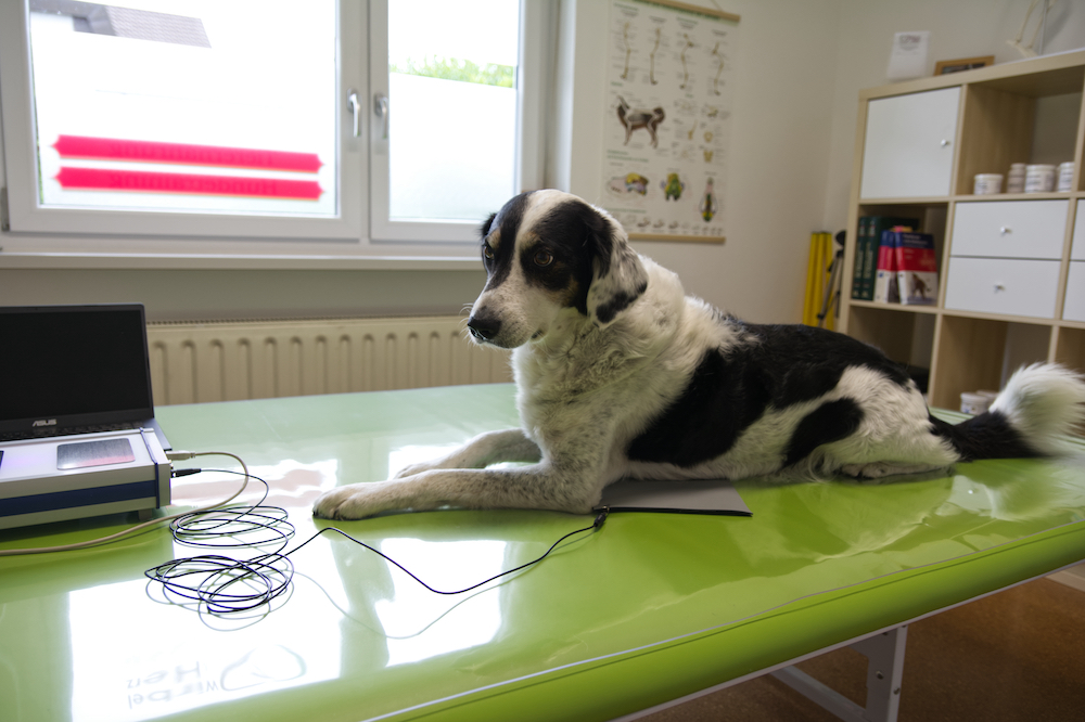 Behandlung